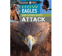 How Eagles and Other Birds Attack (Predator vs. Prey)