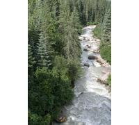 How I Came To Know Jesus Daily: Volume 1