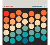 Birds in the City [Vinilo]