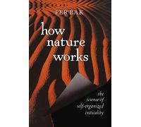How Nature Works – The Science of Self-Organized Criticality (Copernicus) – Springer Verlag