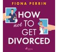 How Not To Get Divorced (audiolibro)