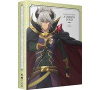 How Not To Summon A Demon Lord: Complete Series (4 Blu-Ray) [Edizione: Stati Uniti] [Italia] [Blu-ray]