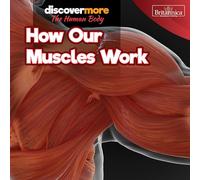 How Our Muscles Work (Discover More: the Human Body)