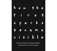 How The First Sparks Became Visible (ebook)
