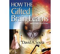 How the Gifted Brain Learns