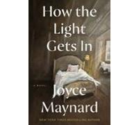 How The Light Gets In (ebook)