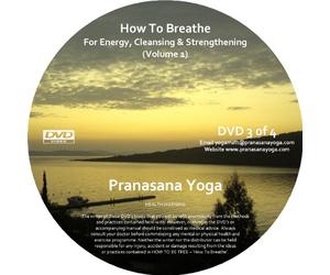 How To Breathe - Breathing Exercises / Breathing Practices DVD - Beginner or Intermediate - For Energy, Cleansing and Strengthening 1 - Yogic Breathing / Pranayama [DVD] [Reino Unido]