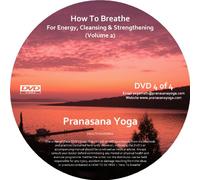 How To Breathe DVD - Breathing Exercises / Breathing Practices DVD / Yogic Breathing /Pranayama For Energy, Cleansing and Strengthening 2 - Intermediate to Advanced Level [DVD] [Reino Unido]