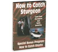 How to Catch Sharks and How to Catch Sturgeon [Reino Unido] [DVD]