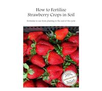 How to Fertilize Strawberries Crops in Soil: Formulas to use Recipes for the Entire Growing Cycle ([Strawberry] 3 units | How to Fertilizer ... How to Identify Nutrient Deficiency Symptoms)