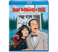 How to Frame a Figg [USA] [Blu-ray]