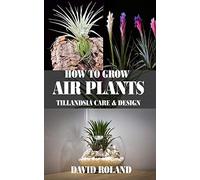 HOW TO GROW AIR PLANTS: Tillandsia Care and Design