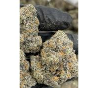 How to Grow Top-Shelf Cali Marijuana:: The Ultimate Guide to Cultivating Premium Cannabis