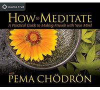 How to Meditate: A Practical Guide to Making Friends with Your Mind by Pema Ch??dr??n (2007-12-31)