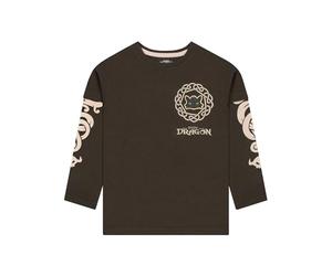 How To Train Your Dragon Camisa Manga Larga, Camiseta Niño De Desdentado, Camisetas Niño De Algodón con Manga Larga 8-9 años