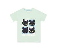 How To Train Your Dragon Camiseta Niña, Camiseta Manga Corta Niña Toothless, Ropa De Niños para Verano, Camisetas Niño De Algodón, Verde 12-13 años
