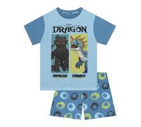 How To Train Your Dragon Pijama Niño, Pijamas Niño Verano Toothless, Pijamas Chulos Dragón, Azul 12-13 años