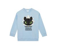 How To Train Your Dragon Sudaderas, Sudadera Niña Toothless, Sudadera Chica Algodon, Azul 10-11 años