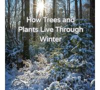 How Trees and Plants Live Through Winter (How Living Things Survive Through the Seasons)