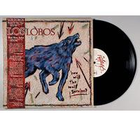 How Will The Wolf Survive ?