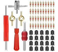 HOWAB Kit de Herramientas de Extraccion para Obus de Valvula: 66PCS Herramientas de Reparación de Válvulas con 40 Núcleos de Válvula, 20 Tapones, 3 Extractor de Válvulas, para Bicicleta Coche Moto