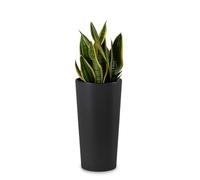 HowHomely Maceta grande de 37 cm de alto con macetero de 20 cm de diámetro, color negro, grande de plástico para decoración, salón, jardín o terraza