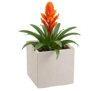 HowHomely Macetero blanco 30 x 30 x 30 cm, con ruedas, estructura de hormigón, moderna, para jardín, balcón, terraza