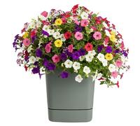 HowHomely Macetero con plato, 34 x 34 x 36,4 cm, moderno, minimalista, mate, para interiores