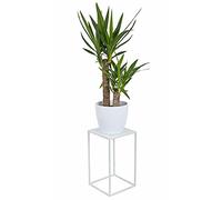 HowHomely Soporte para flores de metal blanco de 40 cm de alto, sólido y robusto taburete de metal para plantas, para decoración de salón, dormitorio u oficina