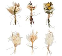 Hoxfly 6 Piezas Ramos Miniaturas de Flores Secas, Decoración Natural con Flores Secas Pequeñas, para Decoración del Hogar, Corona de Floral y Fiestas de Boda