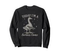 Hoy Soy un Ganso Serio Sudadera
