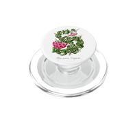 Hoya Hindu Rope Ilustración de la Planta Hoya carnosa 'Compacta' PopSockets PopGrip para MagSafe