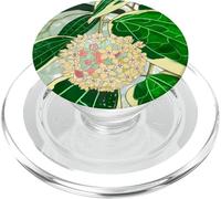 Hoya macrophylla 'Variegata' Arte de Plantas de Interior PopSockets PopGrip para MagSafe