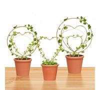 Hoya Trellis - Juego de enrejado de metal de 3 tamaños para plantas de interior, estacas redondas o de corazón, accesorios de herramientas de jardín para plantas de interior pequeñas trepadoras de vid