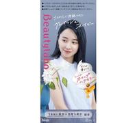 hoyu - Beautylabo Whip Hair Color Grayish Navy