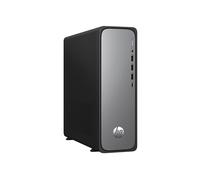 HP Ordenador de Sobremesa OmniDesk Slim (Intel 300, 8GB RAM, 256GB SSD, Gráficos Intel, FreeDOS) - Gris