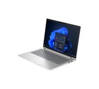 HP Ordenador portátil EliteBook 6 G1a AMD Ryzen 7 250 WUXGA・1000 GB (AD3J5ET#ABD)
