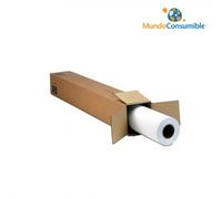 HP Professional Matte Canvas - Mate - 22 m - Rollo 106,7cm x 15,2 m - 392 g/m2 42''