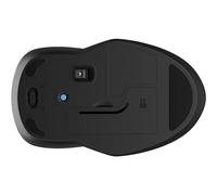 HP Ratón inalámbrico 255, Negro, 8R3U1UT#ABB