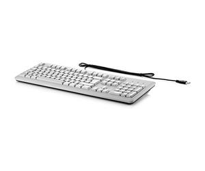 HP Teclado Profesional Dispositivo USB (Gris) - Entrada (Standard, ultraplano con inalámbrico, USB, Teclado de Membrana, Gris)