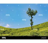 HPE Foundation Care 24x7 Service - Serviceerweiterung - Arbeitszeit und Ersatzteile - 5 Jahre - Vor-Ort - 24x7 - Reaktionszeit: 4 Std. - f?r P/N: JL727A, JL727AR