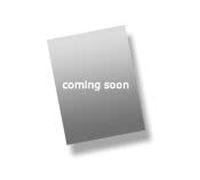 HPE HDD de 2,5" 960GB SAS 12Gb/s