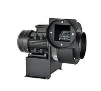HPHPH Aislamiento térmico de alas múltiples Ventilador centrífugo resistente a altas temperaturas Secador alfombras Motor aire, secador, ventilador, soplador Alta velocidad(CY100)