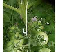 HpLive 50/100 piezas de 13 cm soporte para tomates en J ganchos para plantas y tomates evitar que se caigan