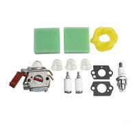 HpLive Kit de carburador para Homelite B25C BC2500R D725CD D825SB F2020 F3040 F3050 Desbrozadora con bujía