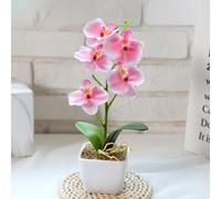 HpLive Orquídeas artificiales en macetas, flores artificiales en maceta, flor simulada, 5 cabezas, phalaenopsis pequeño bonsái para bodas, fiestas, centros de mesa, arreglos florales, decoración de la