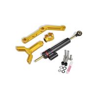 HPZPRPCEW Kit De Estabilizador De Dirección Motocicleta Para Street Triple 765 R/S/RS 2017-2025 Accesorios Soporte De Amortiguador(Model F)