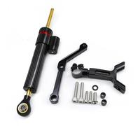 HPZPRPCEW Kit Montaje Soporte Estabilizador Amortiguador Dirección Para Triumph Para Street Triple 765 S/R/RS 2017 2018 2019 2020 2021 2022 Carbono(Black+Black)