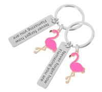 HQHYGM 2pcs Flamingo Keychain Lightweight Stainless Steel Key Ring for Women Teacher Motivational Bag Charm Elegant Handbag Pendant