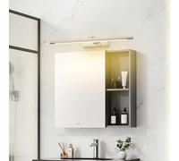 HQHYGM Bathroom Mirror Wall Light 240°+180° Rotatable Wall Lamp with Waterproof Wall Iron Acrylic Minimalist Long Decorative for Living Room Bedroom Kitchen (60cm Silver Warm Light)